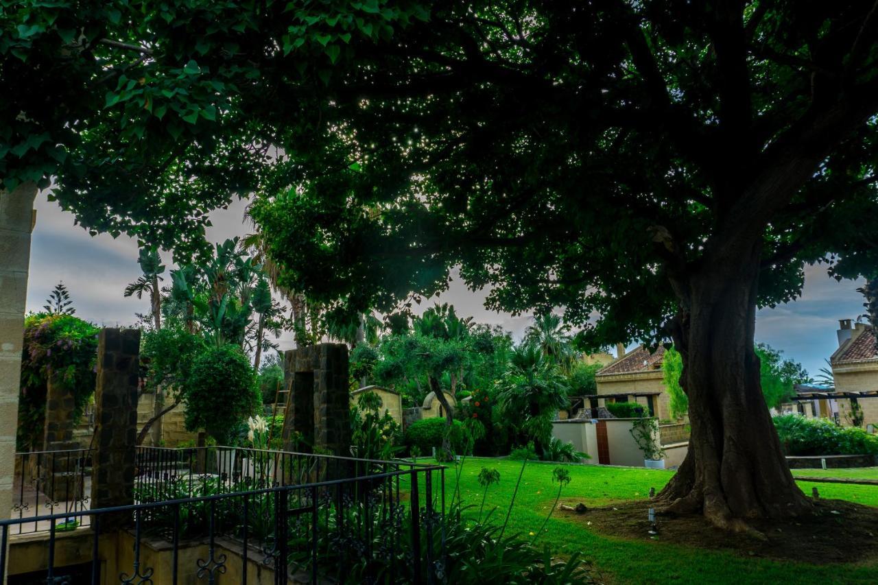 Villa Medina Cefalù Kültér fotó